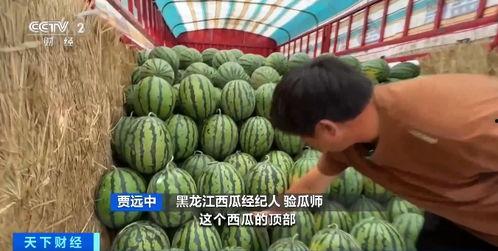 明辉吃瓜,揭秘娱乐圈背后的那些事儿