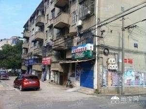 吃瓜社区壹号,网络舆论场中的焦点聚集地