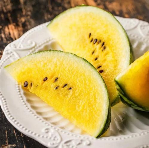 维也纳吃瓜,一场别开生面的“吃瓜”之旅