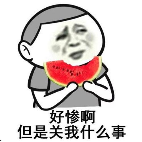 清晨吃瓜不懂就问