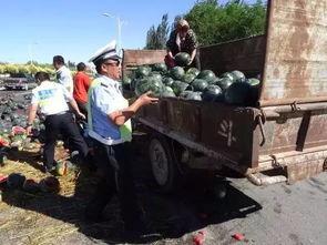 交警大队吃瓜