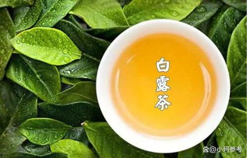 茶茶吃瓜动画版,趣味横生的奇幻冒险之旅