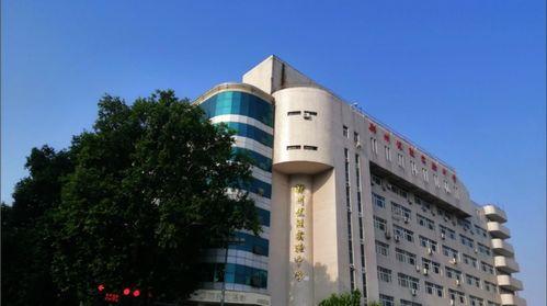 郑州实验中学吃瓜,揭秘校园“吃瓜”文化背后的故事