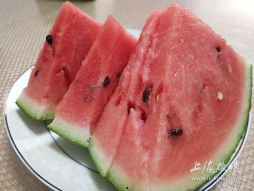 上海骨科博士吃瓜