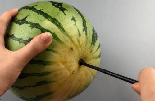 筷子姐吃瓜,揭秘娱乐圈幕后故事