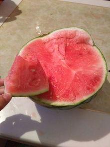 怀孕保胎可以吃瓜吗,瓜类食物的适宜与禁忌