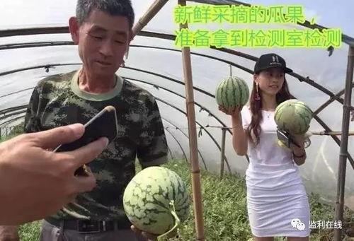 吃瓜直播林州,揭秘当地风土人情