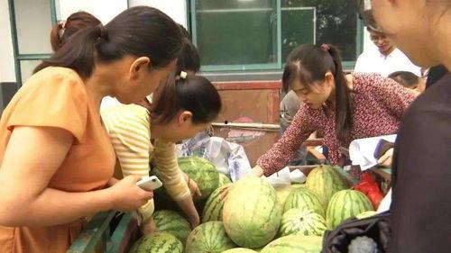 村里吃瓜直播间,揭秘乡村生活趣味瞬间