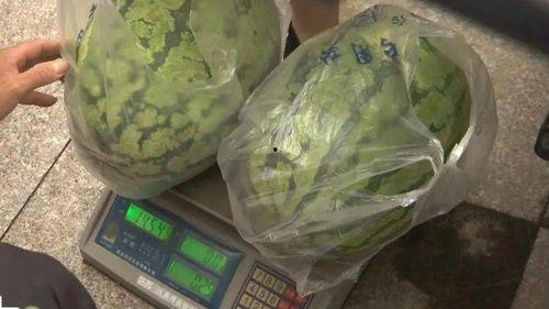 村里吃瓜直播间,揭秘乡村生活趣味瞬间