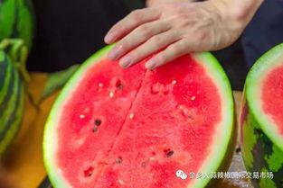 普洱学院吃瓜视频,揭秘校园生活趣味瞬间