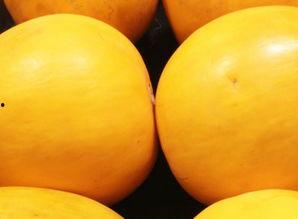 吃小瓜嗓子痒,嗓子痒痒的甜蜜烦恼