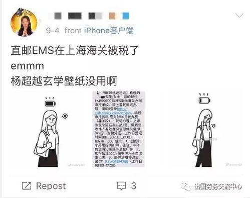 吃瓜自己躺枪,揭秘网络舆论背后的真相