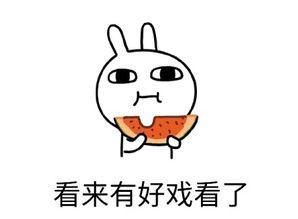 吃瓜自己躺枪,揭秘网络舆论背后的真相