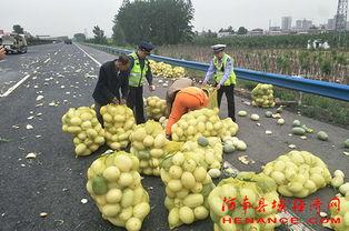 许昌东区吃瓜,瓜果飘香，品味夏日清凉