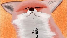 博士吃瓜趣事,学术界的欢乐瞬间