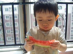 博士吃瓜趣事,学术界的欢乐瞬间