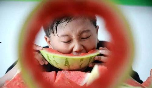 吃瓜网回家最新,回家背后的故事与真相