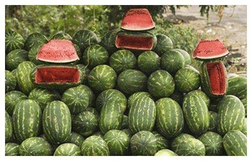 路边上吃瓜,揭秘路边吃瓜的趣味时光