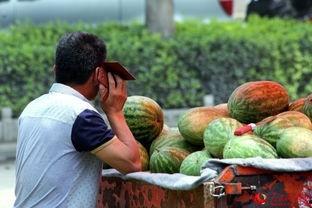 路边上吃瓜,揭秘路边吃瓜的趣味时光