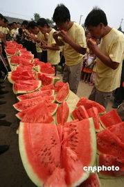 成都人才吃瓜,吃瓜之余，洞察城市活力与人才风向