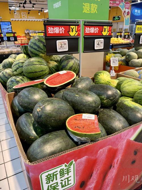 成都人才吃瓜,吃瓜之余，洞察城市活力与人才风向