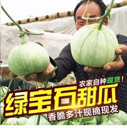 吃瓜取名字,揭秘娱乐圈那些吃瓜群众的趣味故事