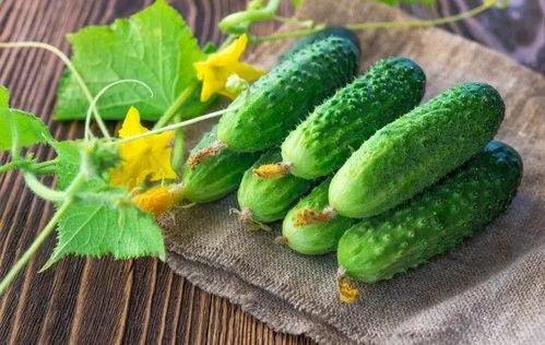 没地儿吃瓜,揭秘那些没地儿吃瓜的尴尬瞬间