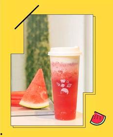 茶瓜瓜吃瓜,茶瓜瓜的瓜界探险之旅