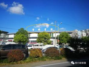 吃瓜售楼,揭秘售楼背后的那些事