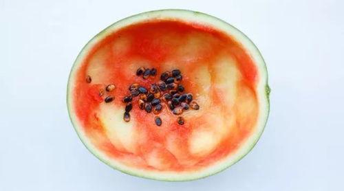 东港吃瓜事件真相,揭秘背后真相与反思